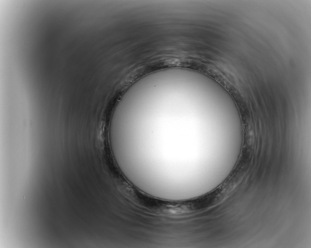 X0000096670275200802051016