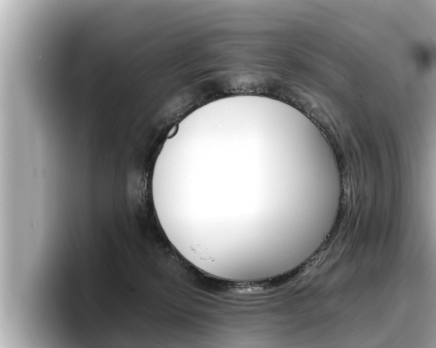 X0000096670278200802051016