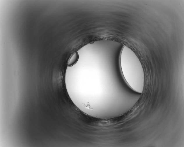 X0000096670279200802051016