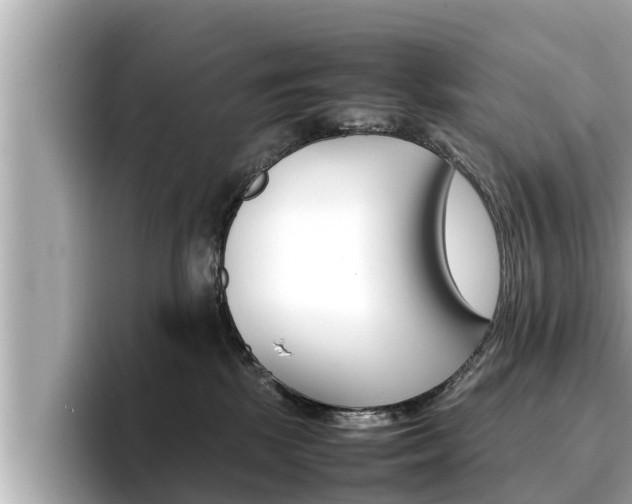 X0000096670281200802051016