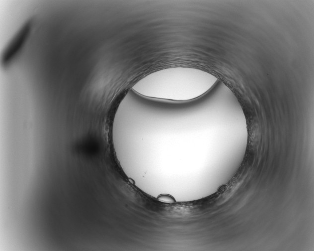 X0000096670282200802051016