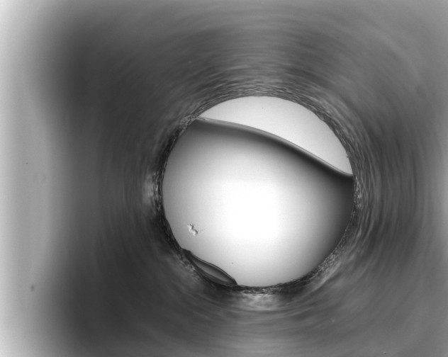 X0000096670284200802051016