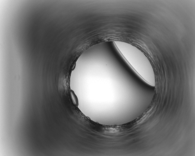 X0000096670285200802051016