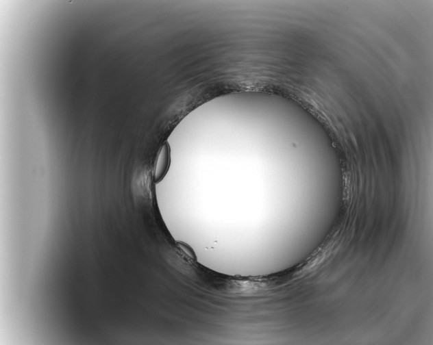 X0000096670286200802051016