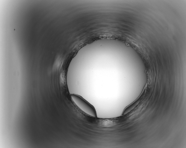 X0000096670287200802051016