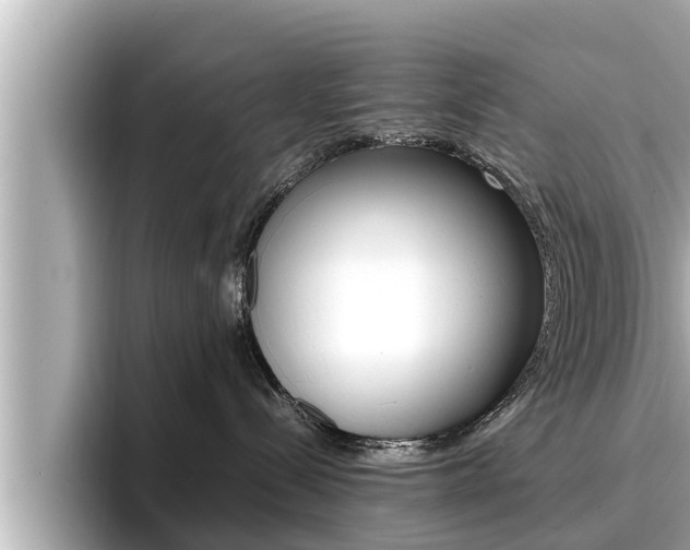 X0000096670288200802051016