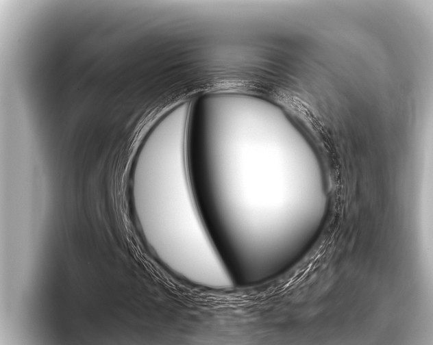 X0000096670289200802051015
