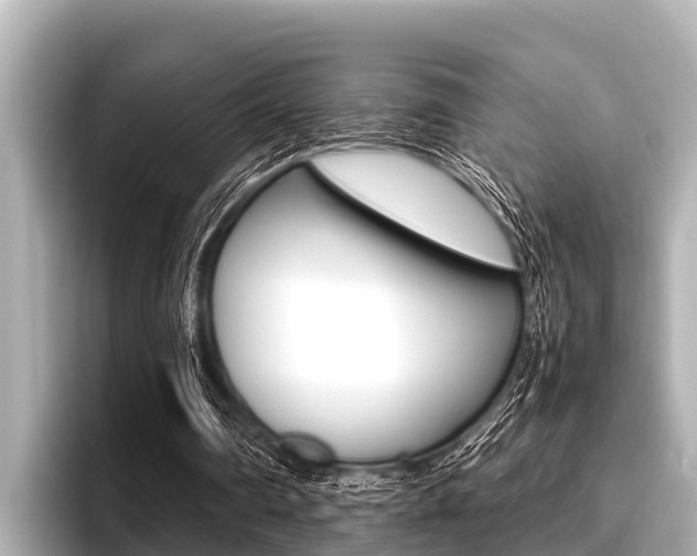 X0000096670290200802051015