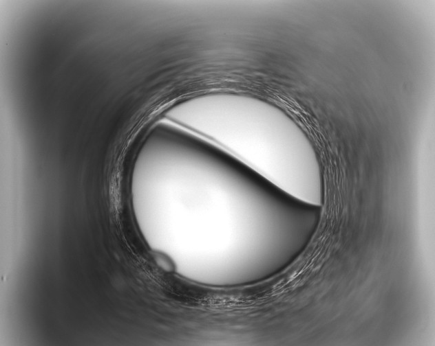X0000096670291200802051015