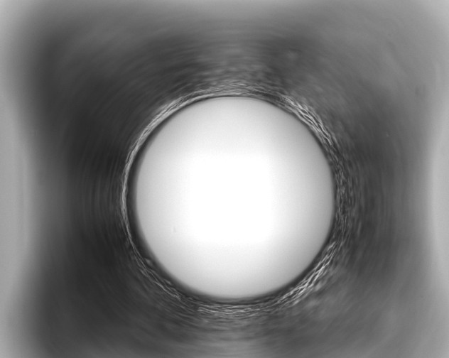 X0000096670292200802051015