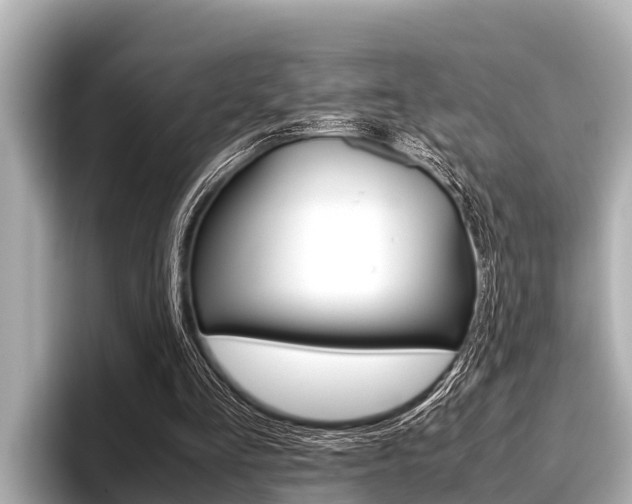 X0000096670293200802051015