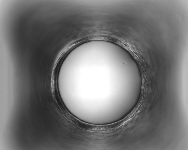 X0000096670294200802051015
