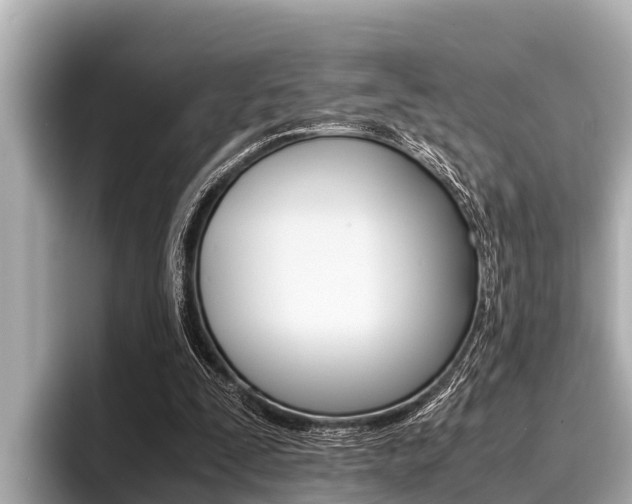 X0000096670295200802051015