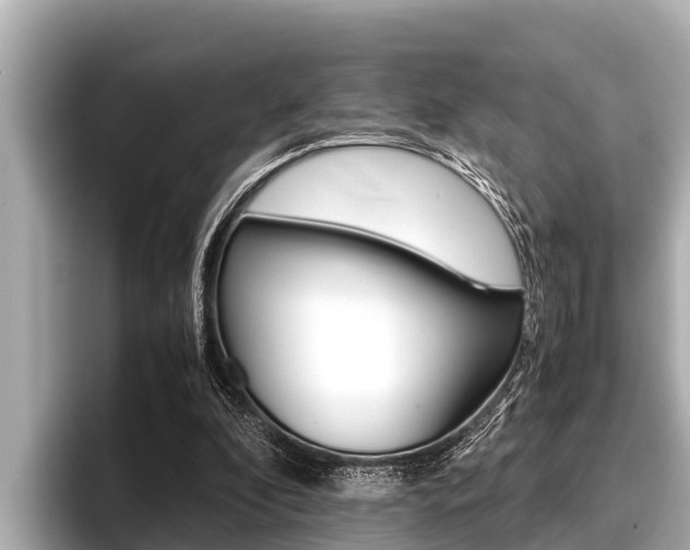 X0000096670296200802051015