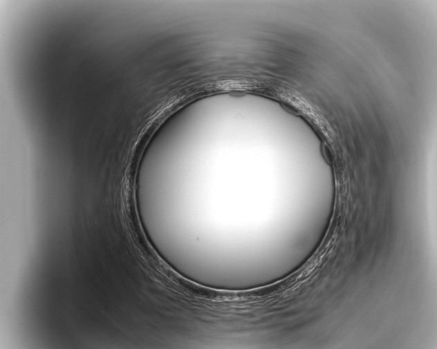 X0000096670297200802051015