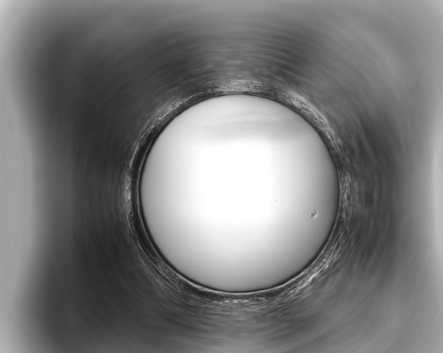 X0000096670298200802051015