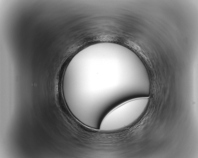 X0000096670299200802051015