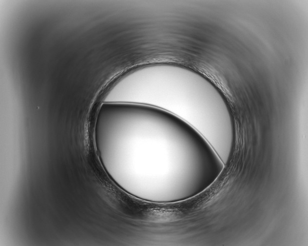X0000096670300200802051015