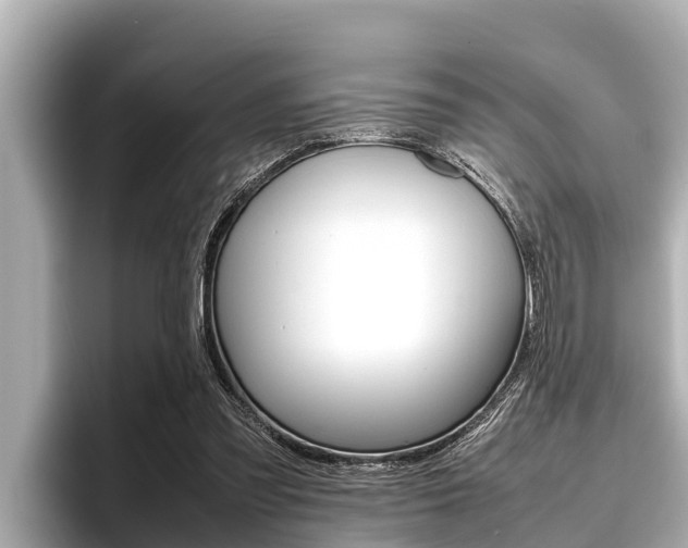 X0000096670301200802051015