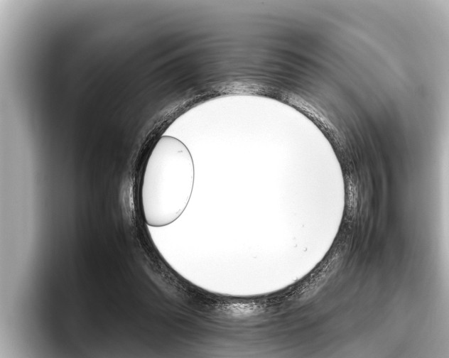 X0000096670302200802051015