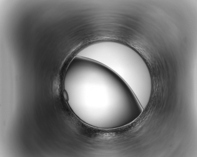 X0000096670304200802051015