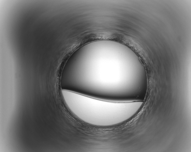 X0000096670305200802051015