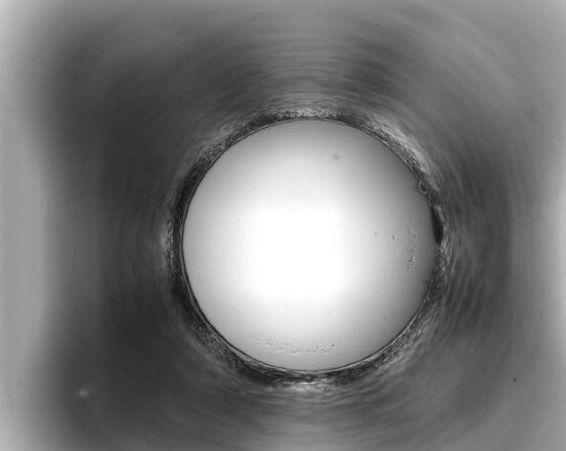 X0000096670306200802051015