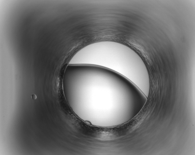 X0000096670308200802051015