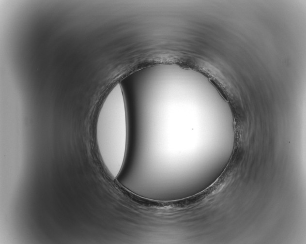 X0000096670309200802051015