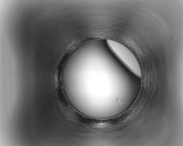 X0000096670312200802051015