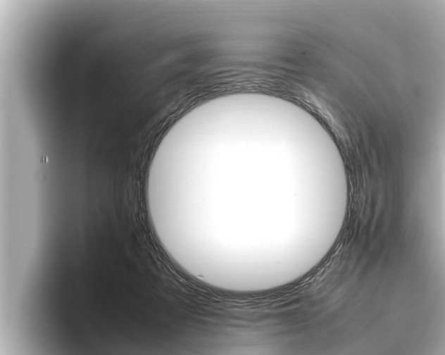 X0000096670313200802051015