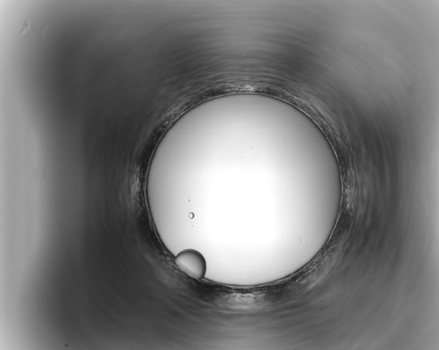 X0000096670314200802051015