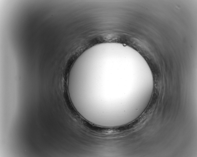 X0000096670319200802051015