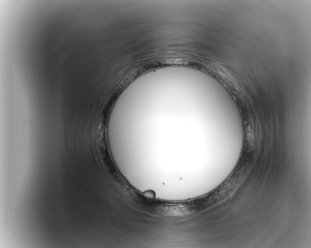 X0000096670322200802051015
