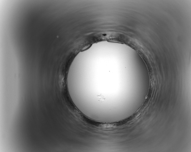 X0000096670327200802051015