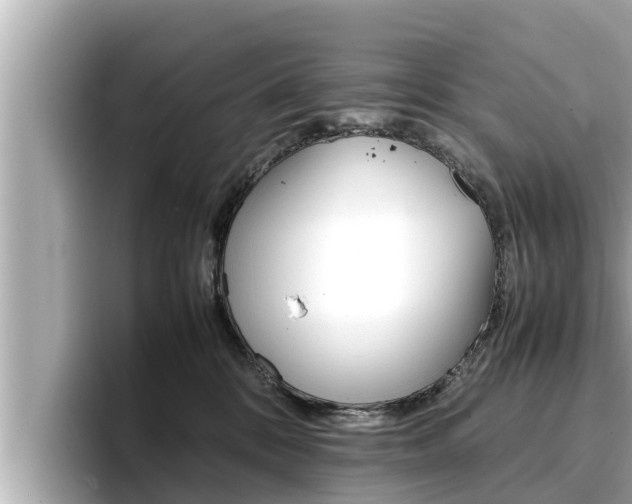 X0000096670328200802051015