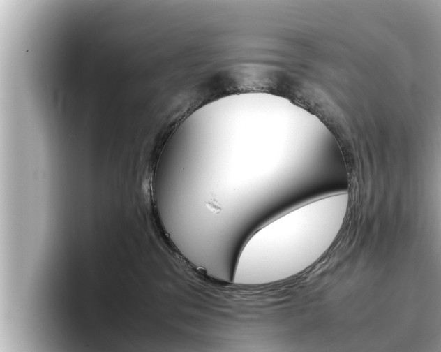 X0000096670329200802051015