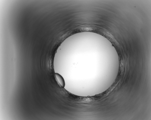 X0000096670330200802051015