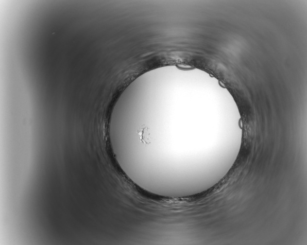 X0000096670331200802051015
