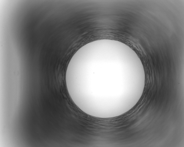 X0000096670332200802051015