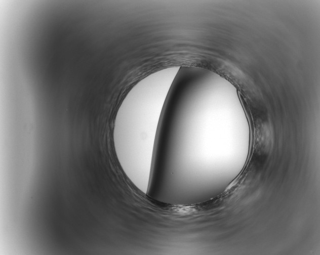 X0000096670333200802051015