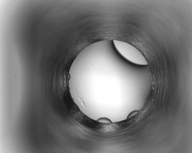 X0000096670334200802051015