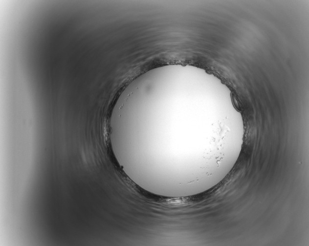X0000096670335200802051015