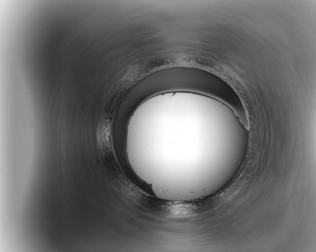 X0000096670336200802051015