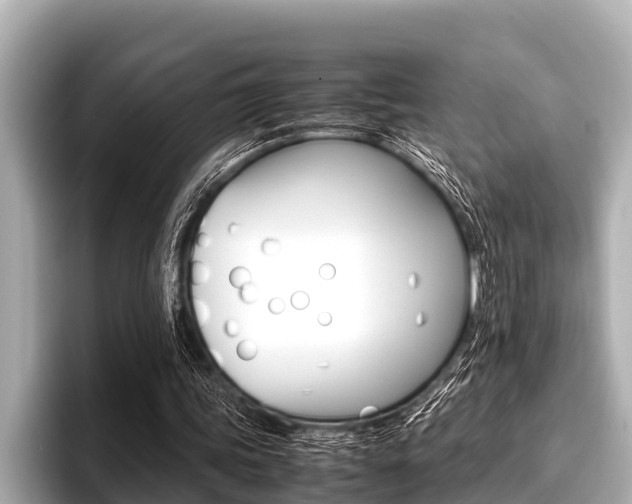 X0000096670339200802051014