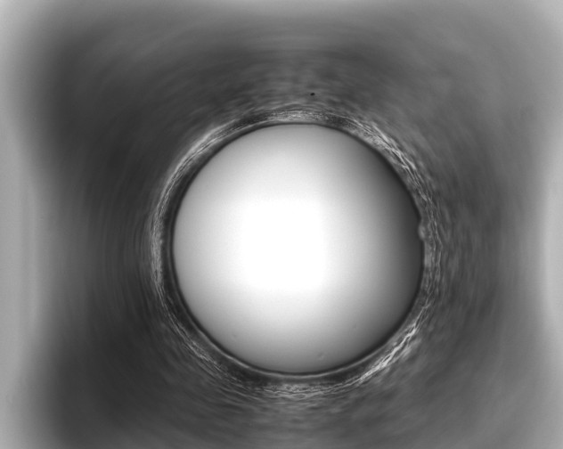 X0000096670341200802051014