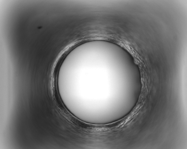 X0000096670342200802051014
