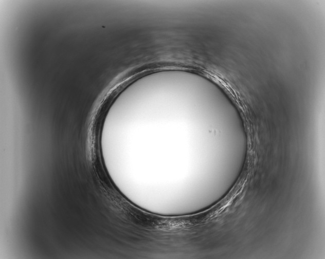 X0000096670343200802051014