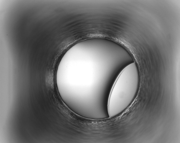 X0000096670345200802051014