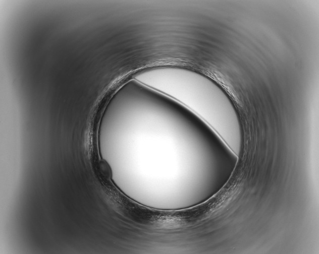 X0000096670348200802051014